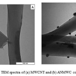 Fig. 4. TEM spectra of (a) MWCNT and (b) ANMWC composite
