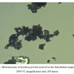 Figure 3– Microstructure of lactulose powder received at the dehydration temperature of 100±1°С (magnification ratio 200 times)