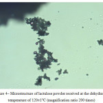 Figure 4– Microstructure of lactulose powder received at the dehydration temperature of 120±1°С (magnification ratio 200 times)