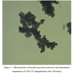 Figure 5 – Microstructure of lactulose powder received at the dehydration temperature of 140±1°С (magnification ratio 200 times)