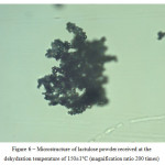 Figure 6 – Microstructure of lactulose powder received at the dehydration temperature of 150±1°С (magnification ratio 200 times)