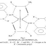 Figure 1: [M(PBPQS)2]X2 and [M(PBPQT)2]X2 M = Co(II), Ni(II) and Cu(II) ;  X = Cl-,  Br- ,  I- and NO3- ; Y = Oxygen or Sulphur; R = Phenyl;  R' = benzamido propyl