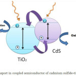 Fig 1: Charge transport in coupled semiconductor of cadmium sulfide-titanium dioxide