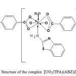 Fig. 3. Structure of the complex  [UO2(TPA)(ABZ)(H2O)]n