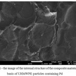Figure 1 - the image of the internal structure of the composite material on the basis of UHMWPE particles containing Pd