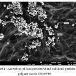 Figure 2 - Assemblies of nanoparticlesPd and individual particles in a polymer matrix UHMWPE