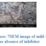 Figure: 7SEM image of mild steel  		                                                                                      in the absence of inhibitor 