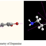 Fig.1: Molecular geometry of Dopamine 