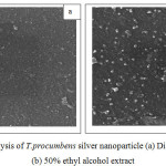 Figure 4. SEM analysis of T.procumbens silver nanoparticle (a) Distilled water extract  (b) 50% ethyl alcohol extract