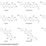 Fig. 1: Structures of isoflavones found in tempeh12.
