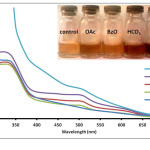 Fig. 1. Absorption spectra of Anthurium flower extracts upon addition of 0.010 M aqueous solutions of OAc-, BzO-, HCO3-, and CO32- anions. Insert: Visual color changes of solutions containing flower extracts and corresponding anions.