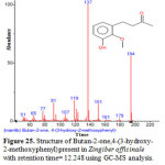 Figure 25. Structure of Butan-2-one,4-(3-hydroxy-2-methoxyphenyl) present in Zingiber officinale with retention time= 12.248 using GC-MS analysis.