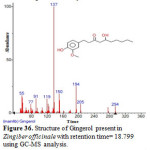 Figure 36. Structure of Gingerol present in Zingiber officinale with retention time= 18.799 using GC-MS analysis.