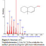 Figure 4. Structure of 1-(Cyclopropyl-nitro-methyl)-cyclopentanol present in Zingiber officinale with retention time= 5.702 using GC-MS analysis.