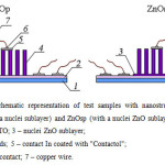 Figure 1. A schematic representation of test samples with nanostructured arrays of ZnOр (without a nuclei sublayer) and ZnOsp (with a nuclei ZnO sublayer)