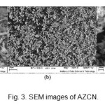 Fig. 3. SEM images of AZCN.