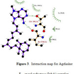 Figure 3.  Interaction map for Agelasine F – enoyl reductase (InhA) complex.