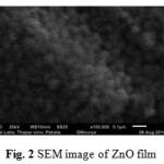 Fig. 2 SEM image of ZnO film 