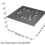 Fig.4 Relief map for Calix [8]COOH