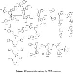 Scheme. 1 Fragmentation pattern for PNZ-complexes