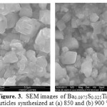 Figure. 3.  SEM images of Ba0.0975S0.025TiO3 nanoparticles synthesized at (a) 850 and (b) 900 °C  for 4 h