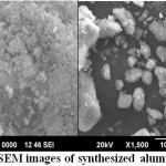 Fig.1 SEM images of synthesized aluminosilicate