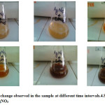 Fig 1: Colour change observed in the sample at different time intervals.4.8 	upon addition of AgNO3 