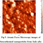 Fig 5: Atomic Force Microscopy images of biosynthesized nanoparticles from Salix alba