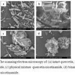 Figure 3. The scanning electron microscopy of: (a) intact quercetin, (b) intact nicotinamide, (c) physical mixture  quercetin-nicotinamide, (d) binary system quercetin-nicotinamide.