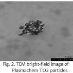 Fig. 2. TEM bright-field image of Plasmachem TiO2 particles.