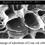 Fig. 2: SEM image of adsorbent of Corn cob after biosorption.