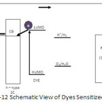 Fig-12 Schematic View of Dyes Sensitized