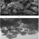 Fig.1. Images of (a) Scanning Electron Microscopy (SEM) and (b) Transmission Electron Microscopy (TEM) of magnetic nano-Fe3O4-encapsulated-chitosan/graphene oxide. Distance
