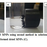 Fig. 3.1. shows the prepared MNPs using second method in solution(A), after separation using external magnet, and (B) the formed dried MNPs (C).