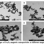 Fig. 3.2. TEM images of Fe3O4 magnetic nanoparticles at different magnifications.