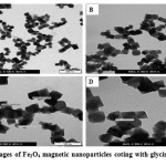 Fig. 3.6. TEM images of Fe3O4 magnetic nanoparticles coting with glycin.