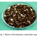 Fig. 3. Photo of the kulantau vermiculite sample