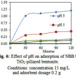 Fig. 6: Effect of pH on adsorption of NBB by TiO2-pillared bentonite. Conditions: concentration 15 mg/L and adsorbent dosage 0.2 g