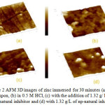 Figure 2: AFM 3D images of zinc immersed for 30 minutes (a) polished coupon, (b) in 0.5 M HCl, (c) with the addition of 1.32 g/ L of natural inhibitor and (d) with 1.32 g/L of np-natural inhibitor.
