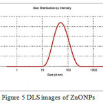 Figure 5: DLS images of ZnONPs