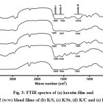 Fig. 3: FTIR spectra of (a) keratin film and 1:2 (w/w) blend films of (b) K/S, (c) K/St, (d) K/C and (e) K/G.