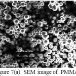 Figure 7(a)  SEM image of  PMMA 