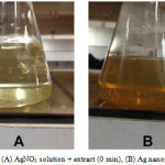 Figure 1. (A) AgNO3 solution + extract (0 min), (B) Ag nanoparticles
