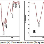 Figure 3: FT-IR spectra (A) Citrus reticulate extract (B) Ag nanoparticles + extract