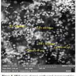 Figure 5: SEM image of green synthesized Ag nanoparticles