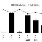 Figure 1: Effects of RFE on NO production and cell viability of LPS-stimulated RAW264.7 murine macrophages. Cells (1.5 x 105 cells/mL) were pre-incubated for 18 h and NO production and cell viability were determined in cells stimulated with LPS (1 μg/mL) in the presence or absence of RFE for 24 h. n = 3 experiments. Values are the mean ± SEM of triplicate experiments. *, P < 0.05; **, P < 0.01; ***, P < 0.001.