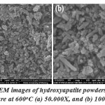 Figure 4: SEM images of hydroxyapatite powders of firing temperature at 600oC (a) 50.000X, and (b) 100.000X