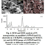 Figure4: SEM and EDX analysis of Pt nanoparticles on modified (NPPt/PAni/CG) electrode in 1 M H3PO4 containing 0.5 M KCl. (a) and (b) SEM image of (NPPt/PAni/CG) electrode at different magnifications (c) EDX analysis of Pt nanoparticles on (PAni/CG) electrode.
