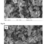 Figure 6: SEM micrographs of amorphous SiO2 powder after prepared from (a) rice husk ash and (b) bagasse ash