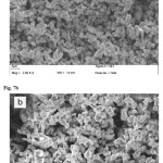 Figure 7: SEM micrographs of CaO powder after prepared from (a) chicken eggshells and (b) duck egg shells
